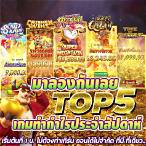 เว็บ สล็อตทดลองเล่นฟรี